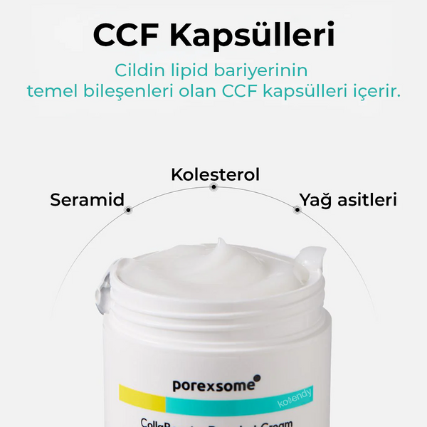 Clean art コントロールクリーム 90g Dr.nineteen CollaBooster Poreshot Cream – Korendy