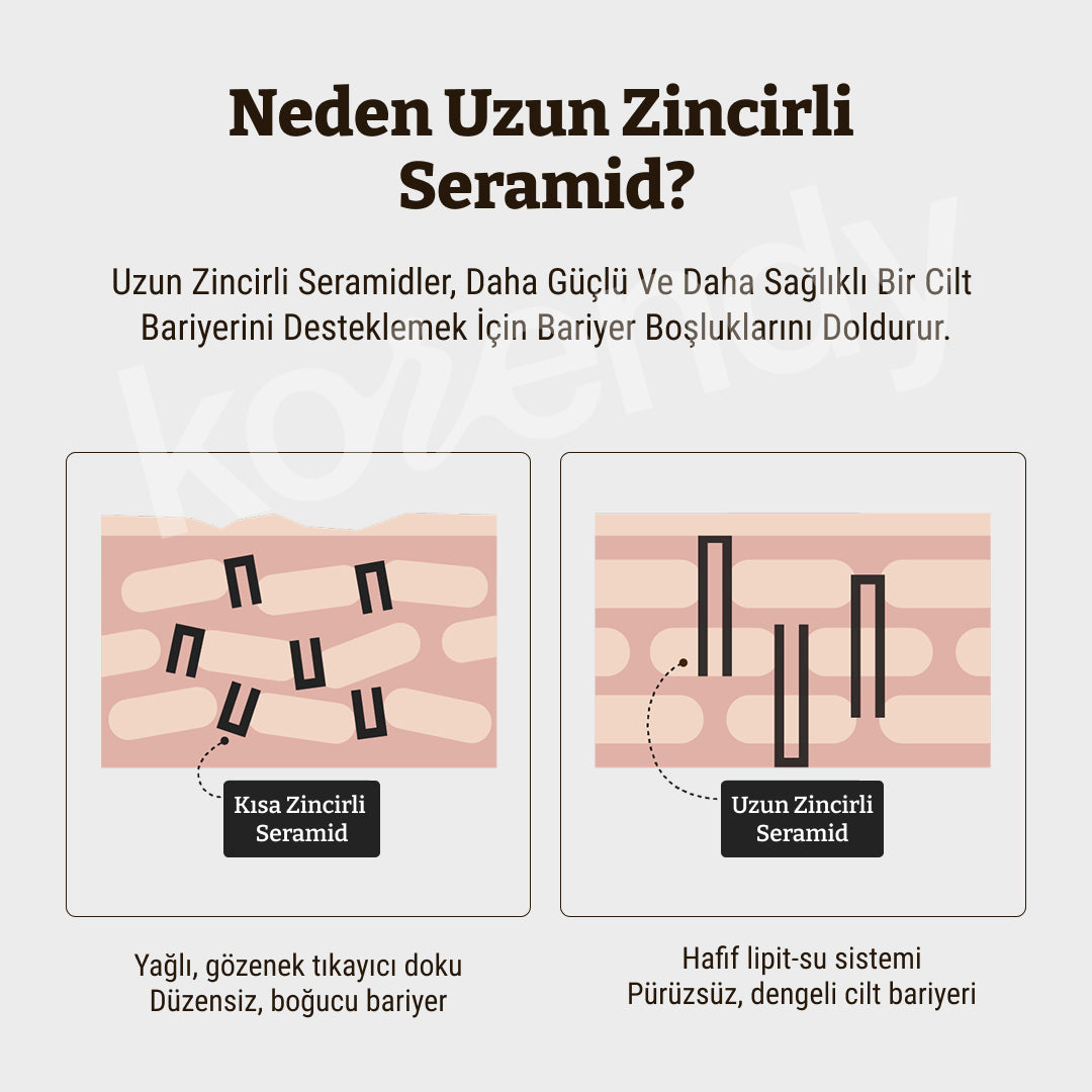 Dr. Rejuall - Advanced LC-Ceramide Barrier Cream (Bariyer Koruyucu ve Kuruluk Kaynaklı Kızarıklık Giderici Uzun Zincirli Seramidli Krem) 50ml