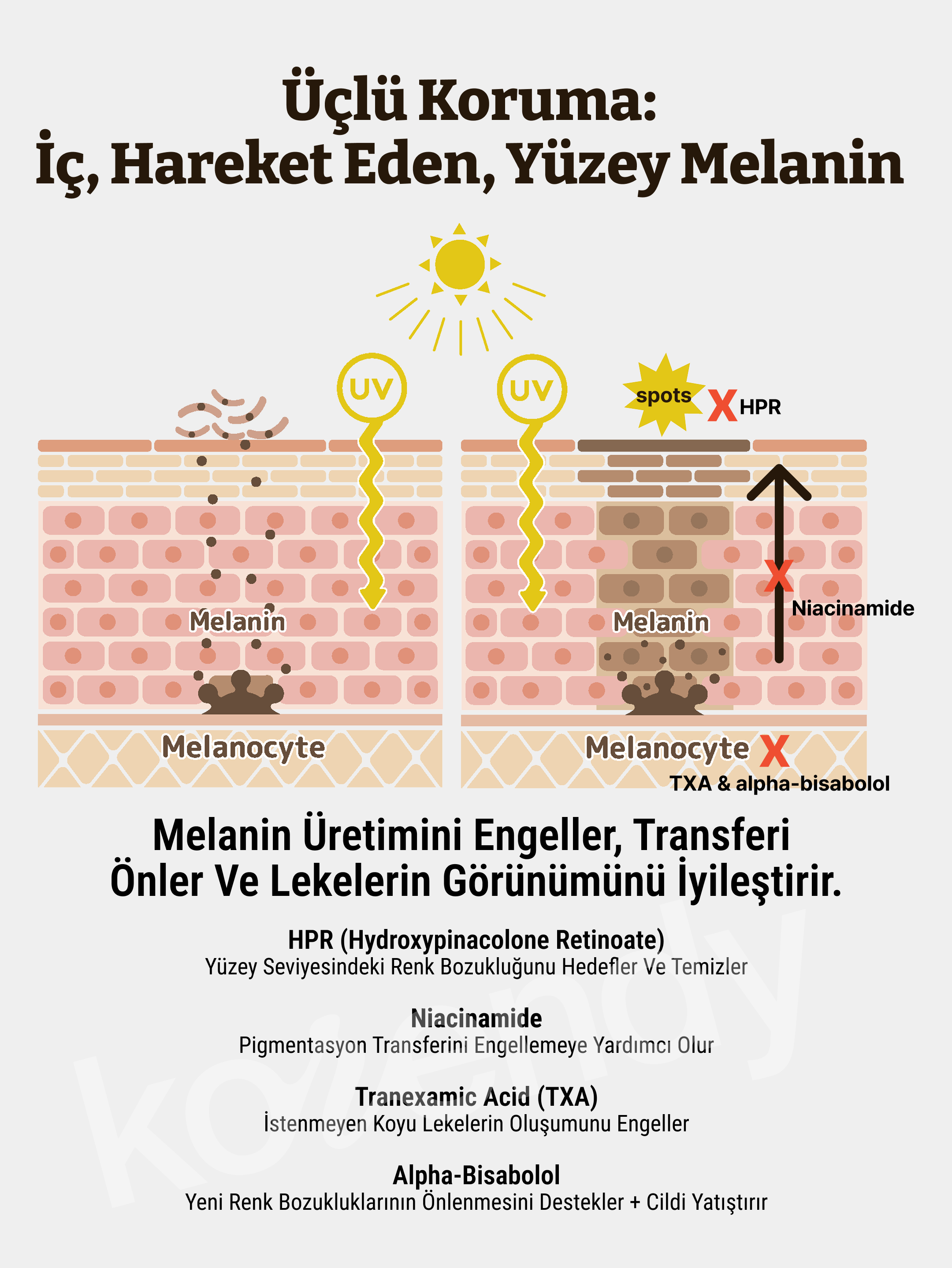 Dr. Rejuall - Advanced Retino-Mela Serum (İnce Çizgi ve Pürüz Önleyici Cilt Parlatıcı Yeni Nesil Retinoidli Serum) 30ml (Sepette %30)