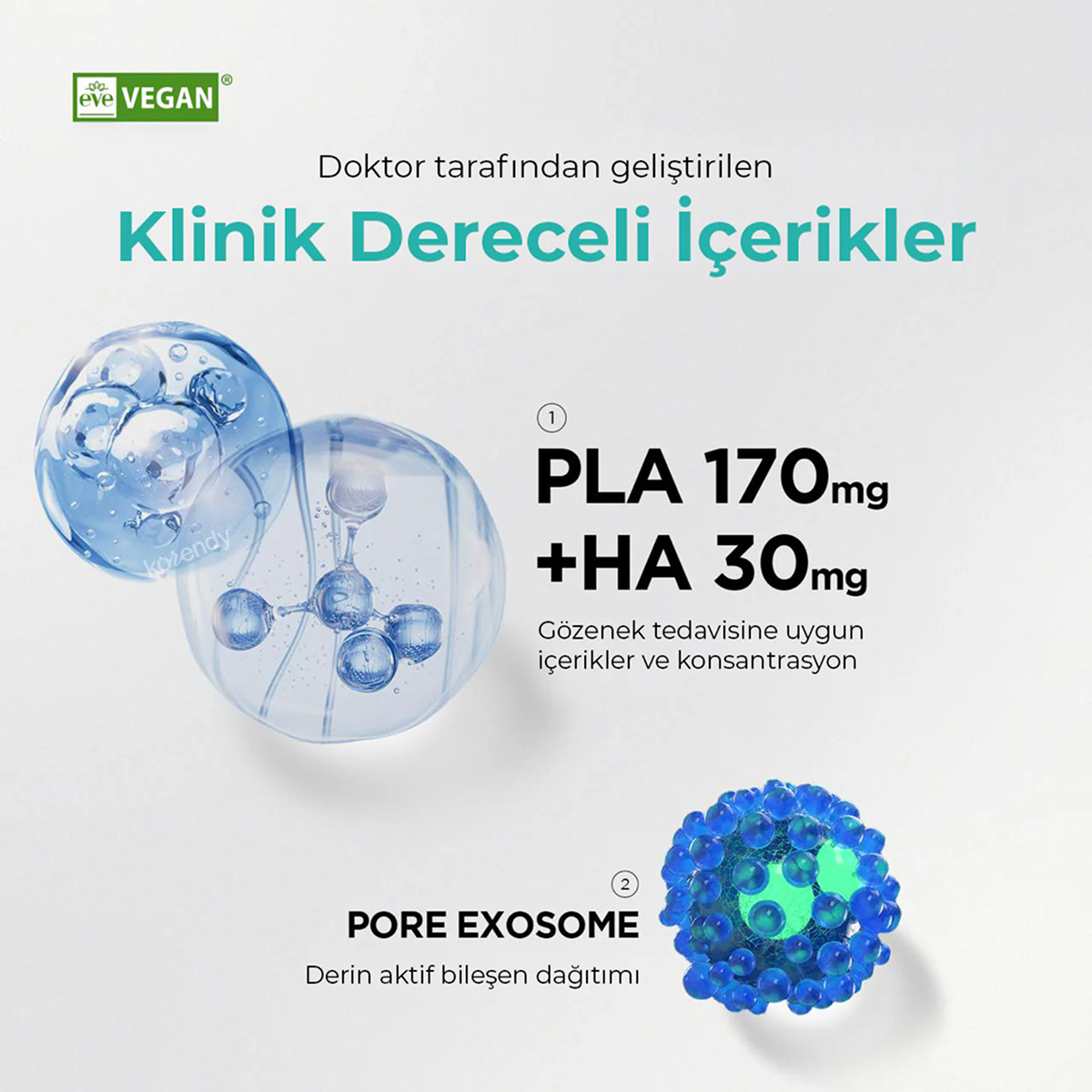 Dr.nineteen CollaBooster Poreshot Cream – Korendy