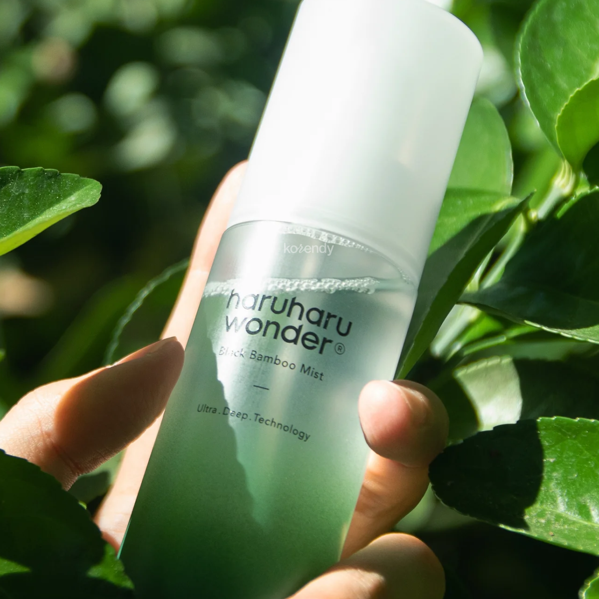Haruharu Wonder - Black Bamboo Mist (Canlılık ve Hidrasyon Verici Dinginleştirici Fermente Siyah Bambulu Yüz Misti) 150ml (%15-%30 Lansman İndirimi)