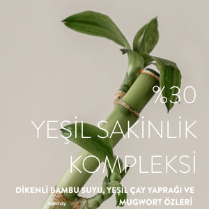 Kaine - Green Calm Aqua Cream (Yeşil Çay ve Mugwortlu Bariyer Destekleyici Yağlandırmayan Krem) 70g