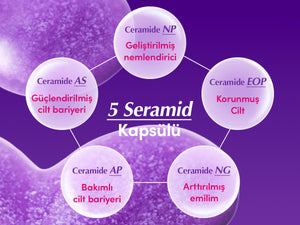 EqqualBerry - Bakuchiol Plumping Serum (Kırışıklık ve Geniş Gözenek Önleyici 13 Çeşit Peptitli Bakuchiol Serumu) 30ml