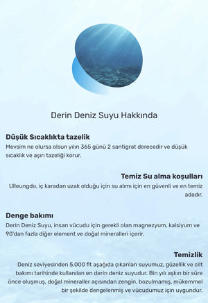 Round Lab - 1025 Dokdo Cleanser (Deniz Sulu ve Seramidli Temizleyici Köpük) 150ml