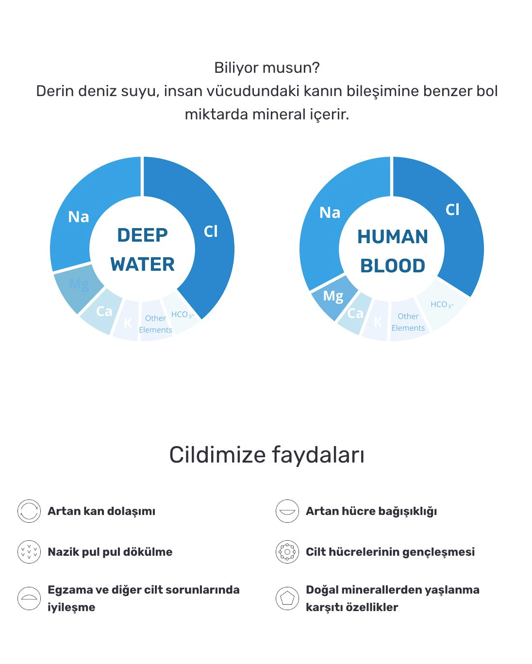 Round Lab - 1025 Dokdo Cleanser (Deniz Sulu ve Seramidli Temizleyici Köpük) 150ml