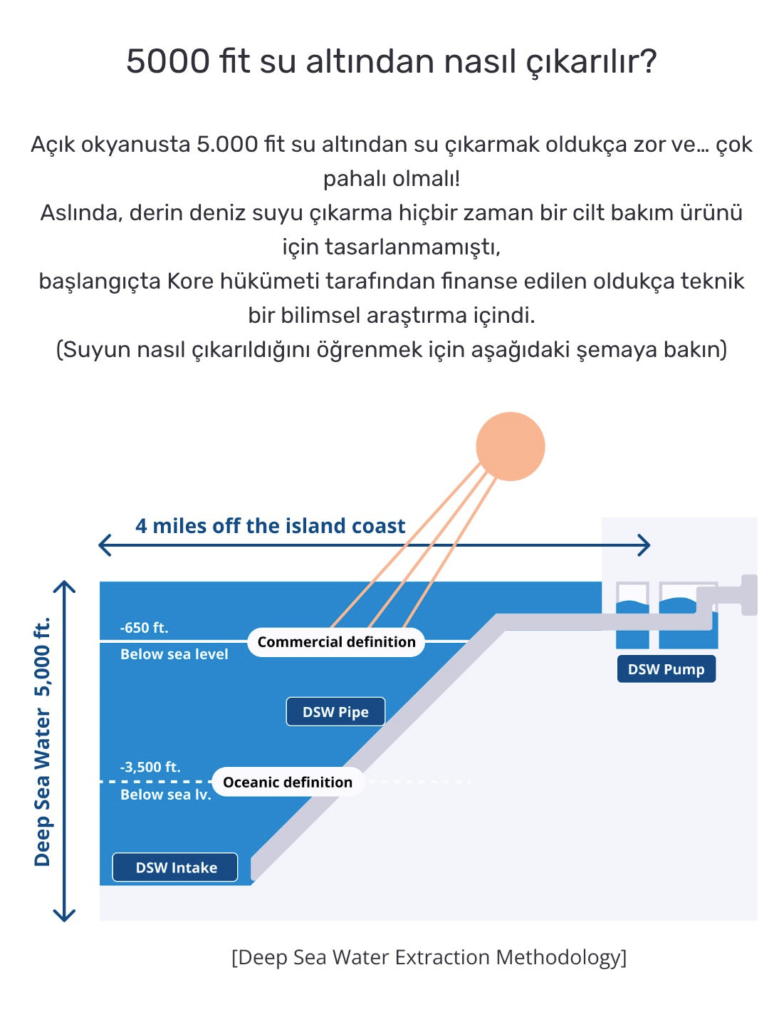 Round Lab - 1025 Dokdo Cleanser (Deniz Sulu ve Seramidli Temizleyici Köpük) 150ml