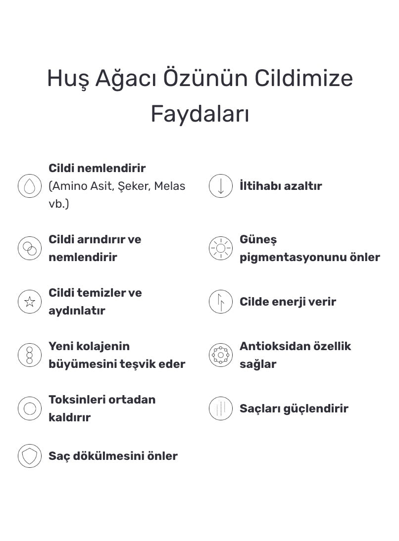 Round Lab - Birch Juice Mild-Up Sunscreen (Cilt Tonu Eşitleyici ve Nemlendirici Huş Ağacı Özlü Mineral Güneş Kremi) 50ml