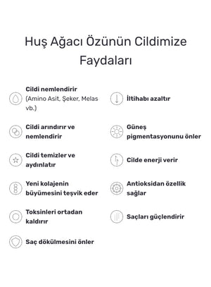Round Lab - Birch Juice Mild-Up Sunscreen (Cilt Tonu Eşitleyici ve Nemlendirici Huş Ağacı Özlü Mineral Güneş Kremi) 50ml