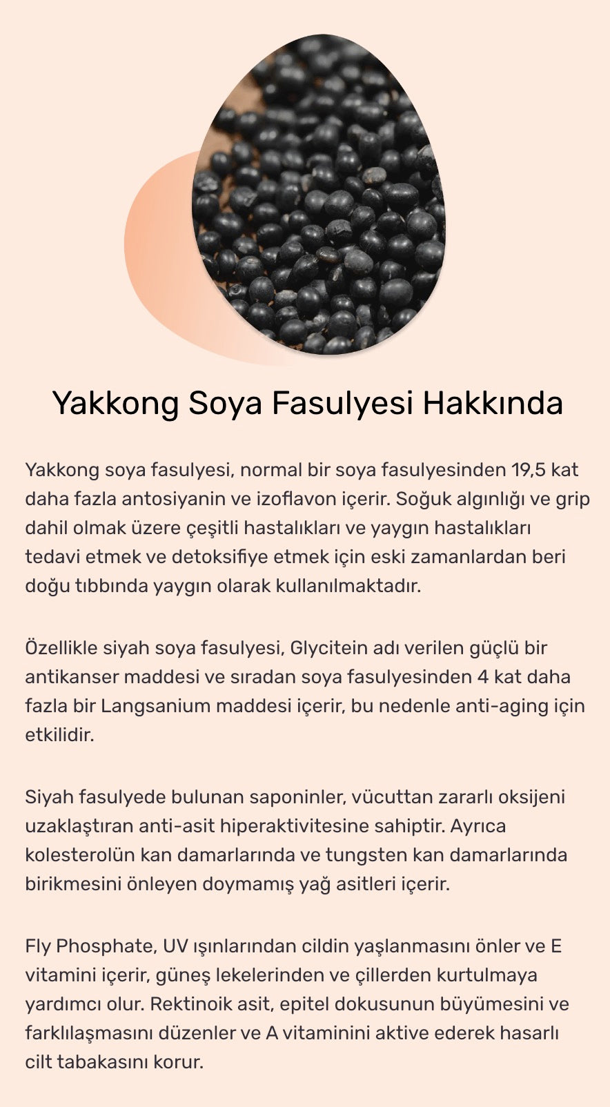 Round Lab - Soybean Cleansing Oil (Siyah Nokta Karşıtı Nazik Asitli ve Soya Özlü Yağ Bazlı Temizleyici) 200ml