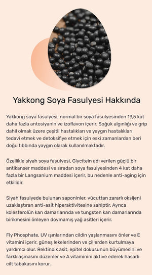 Round Lab - Soybean Cleansing Oil (Siyah Nokta Karşıtı Nazik Asitli ve Soya Özlü Yağ Bazlı Temizleyici) 200ml