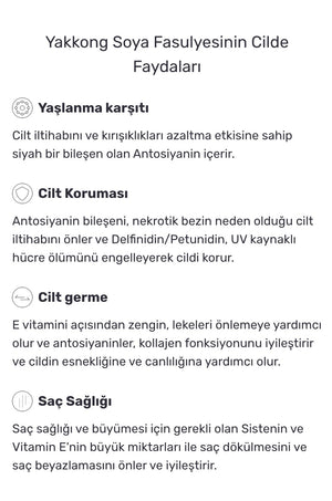 Round Lab - Soybean Cleansing Oil (Siyah Nokta Karşıtı Nazik Asitli ve Soya Özlü Yağ Bazlı Temizleyici) 200ml