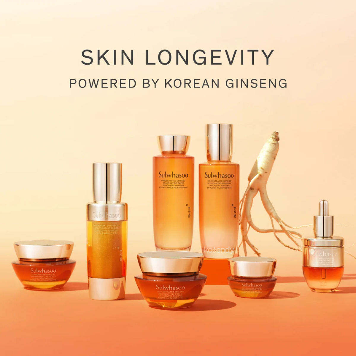 Sulwhasoo - Concentrated Ginseng Rejuvenating Ampoule (Sıkılık Koruyucu Ginseng Meyvesi ve Peptitli Ampul) 20g (%15-%30 Lansman İndirimi)