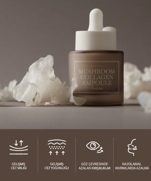 I'm From - Mushroom Collagen Ampoule (Kırışıklık Karşıtı Vegan Kolajen Serumu) 30ml