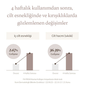 I'm From - Mushroom Collagen Ampoule (Kırışıklık Karşıtı Vegan Kolajen Serumu) 30ml