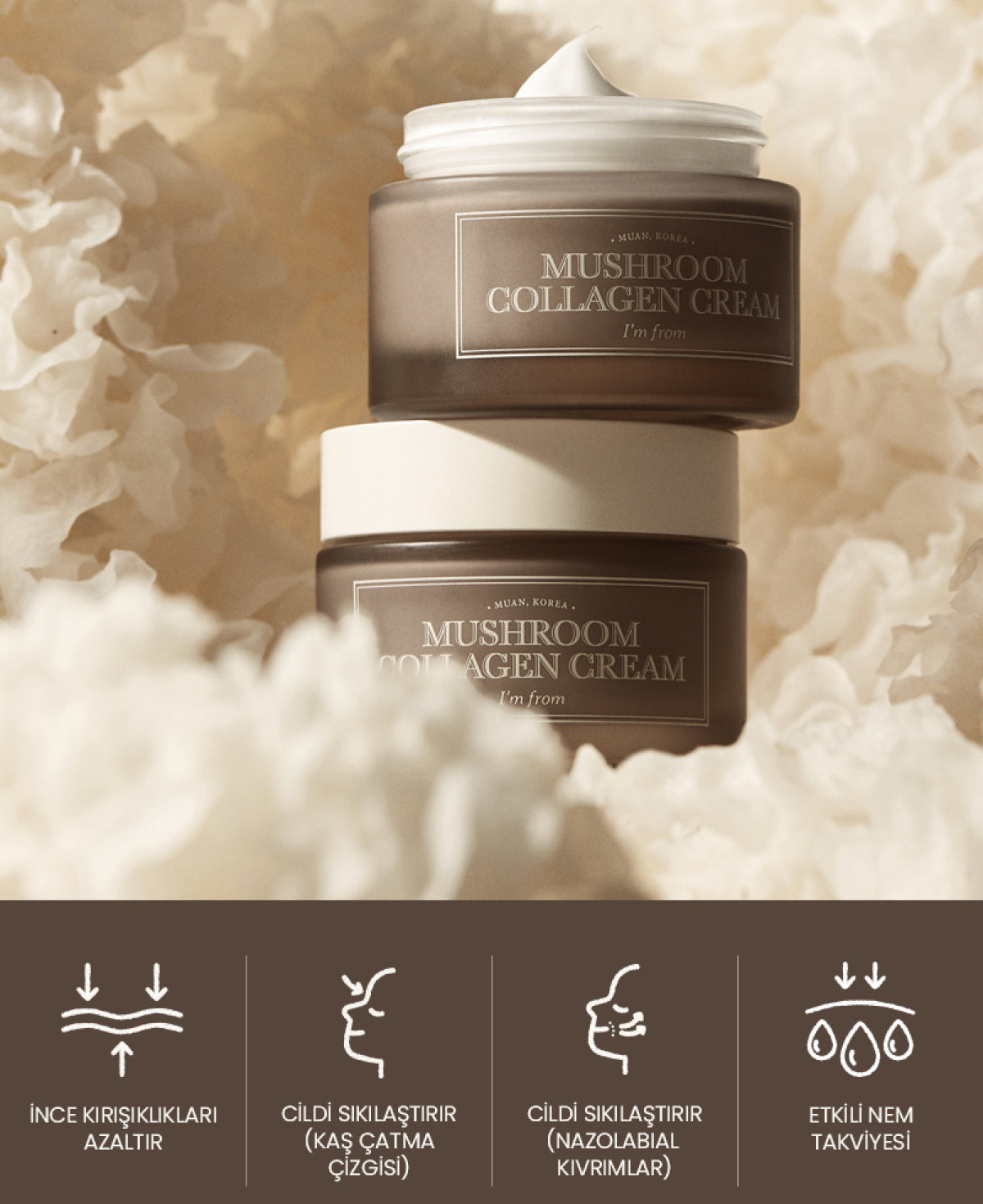 I'm From - Mushroom Collagen Cream (Elastikiyet Artırıcı %30 Vegan Kolajenli Krem) 50ml