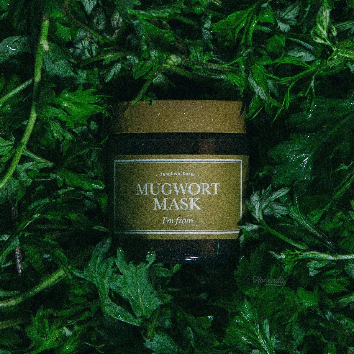 I'm From - Mugwort Mask 30gr/110gr Maske (Sürülebilir) Korendy Türkiye Turkey Kore Kozmetik Kbeauty Cilt Bakım 